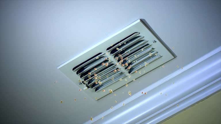 Best Emergency Air Duct Cleaning  in Caledonia, MN