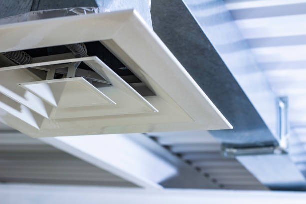 Best Home Air Vent Cleaning  in Caledonia, MN