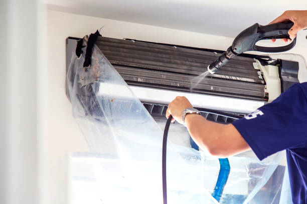 Best Duct Cleaning Specialists  in Caledonia, MN