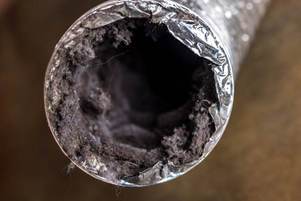 Best HVAC Maintenance and Cleaning  in Caledonia, MN