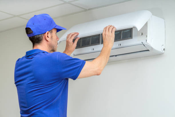 Best Air Vent Cleaning Services  in Caledonia, MN