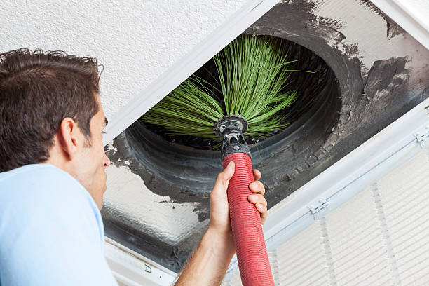 Best Air Duct Cleaning Company Near Me  in Caledonia, MN