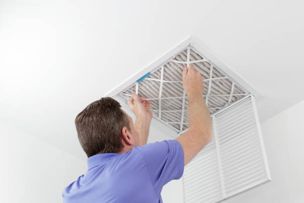 Best Duct Cleaning for Homes  in Caledonia, MN